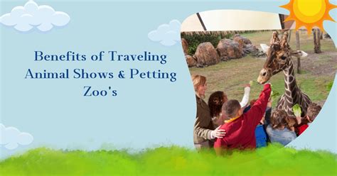 petting zoos on long island|houston mobile petting zoo.